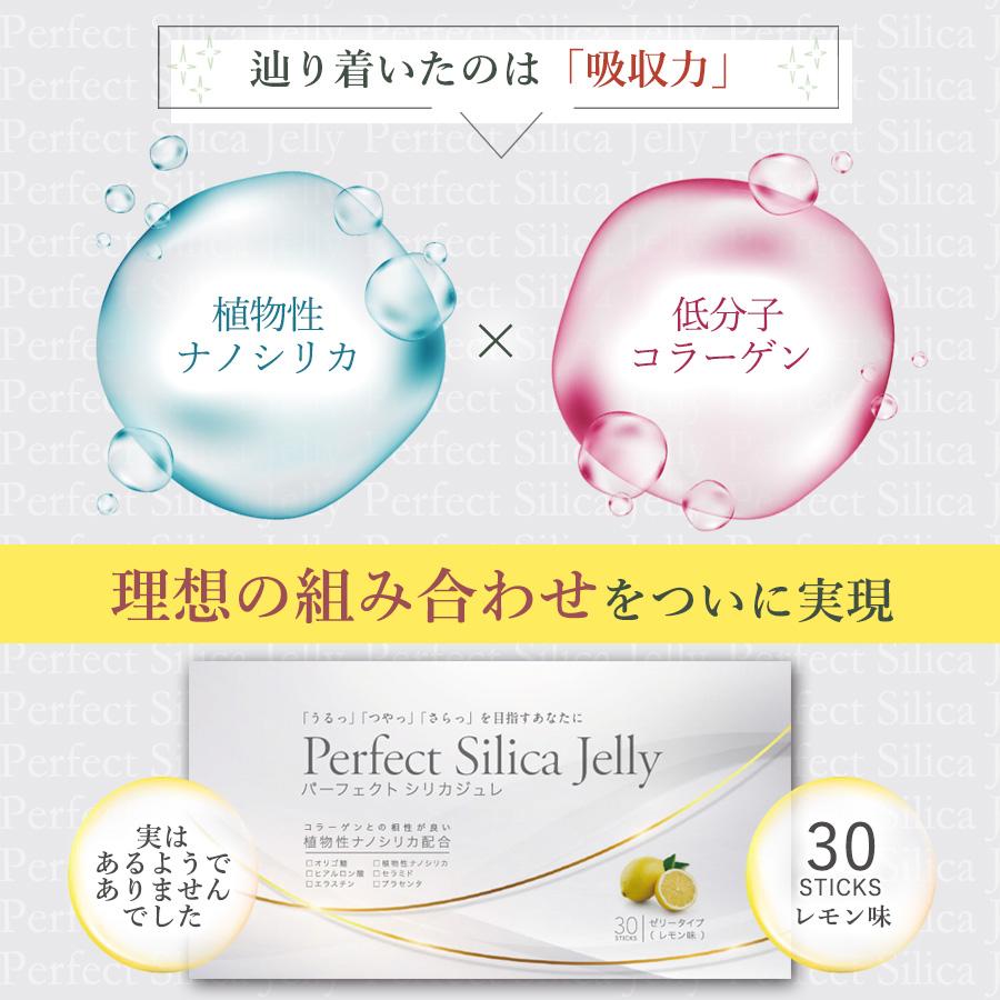 Perfect Silica Jelly パーフェクトシリカジュレ 30本 1箱｜mikawakanpoudo｜09