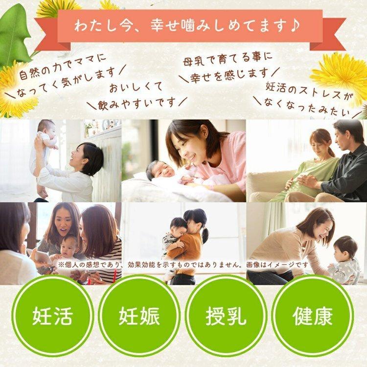 徳潤 たんぽぽ茶 ショウキ T-1 プラス 100ml 30袋 妊活 タンポポ 徳潤 たんぽぽ茶 ショウキ T-1 プラス 100ml 30袋 妊活 タンポポ