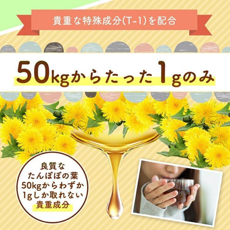 徳潤 たんぽぽ茶 ショウキ T-1 プラス 100ml 30袋 妊活 タンポポ 徳潤 たんぽぽ茶 ショウキ T-1 プラス 100ml 30袋 妊活 タンポポ