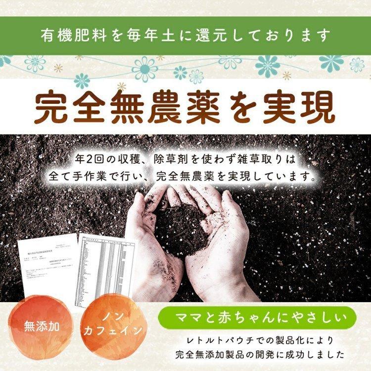 徳潤 たんぽぽ茶 ショウキ T-1 プラス 100ml 30袋 妊活 タンポポ 徳潤 たんぽぽ茶 ショウキ T-1 プラス 100ml 30袋 妊活 タンポポ
