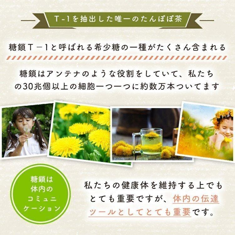 徳潤 たんぽぽ茶 ショウキ T-1プラス 100ml 5袋 妊活 タンポポ茶 着色