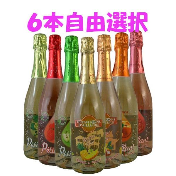 ペティアン・ド・リステル　750ml　希望商品6本セット
