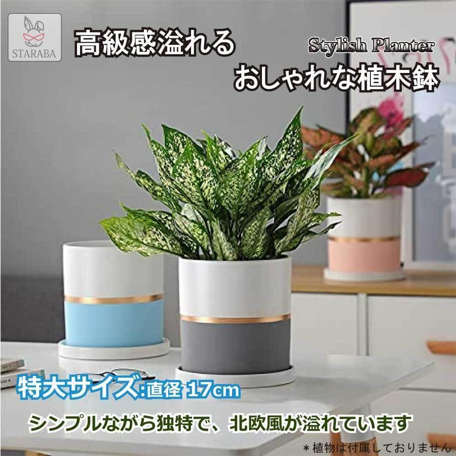特大サイズ 陶器鉢 17cm 植木鉢 おしゃれ 鉢植え プランター 円筒形