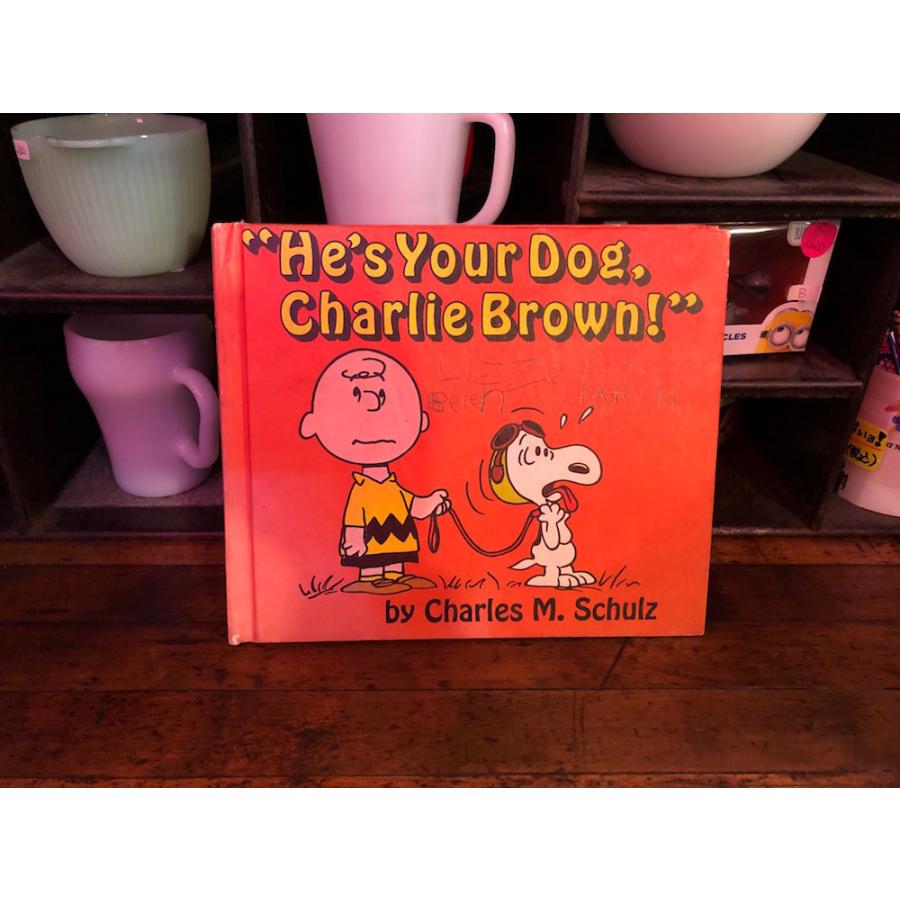 スヌーピー ヴィンテージ コミック インテリア雑貨 雑貨 Snoopy Book レターパック Snoopybook07 アンティークマイク 通販 Yahoo ショッピング