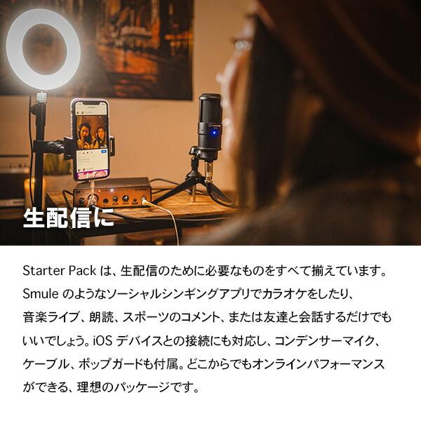 Steinberg UR12 Podcast Starter Pack オーディオ Steinberg UR12 Podcast Starter Pack オーディオ