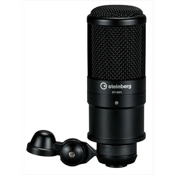 Steinberg UR12 Podcast Starter Pack オーディオ Steinberg UR12 Podcast Starter Pack オーディオ