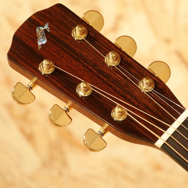 Morris モーリス M-82 アコースティックギター フォークギター 初心者