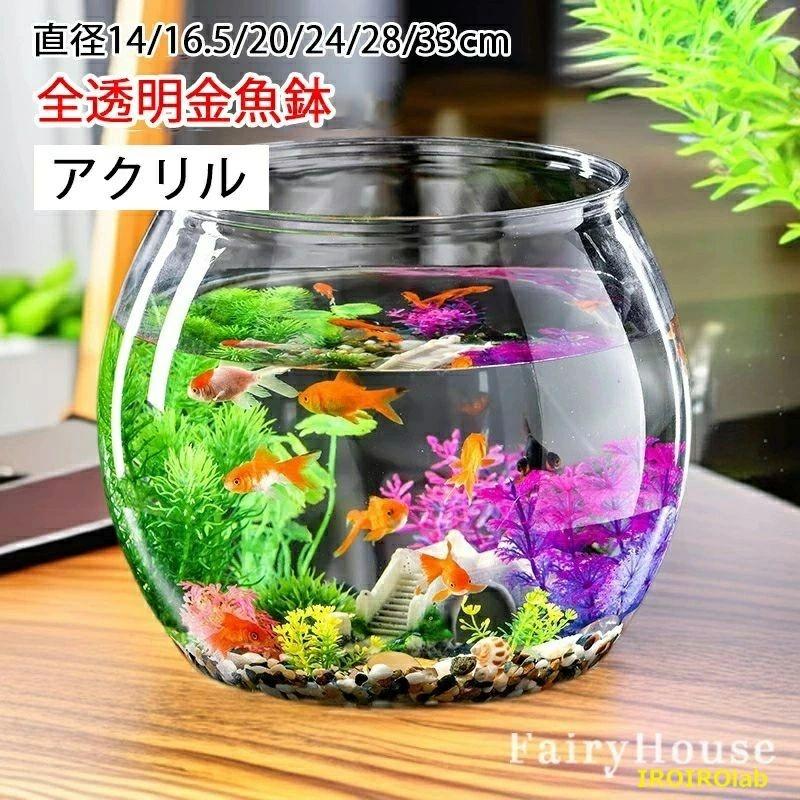 金魚鉢 アクリル水槽 透明 メダカ 苔 アクアリウム 水草 飼育水槽 睡蓮