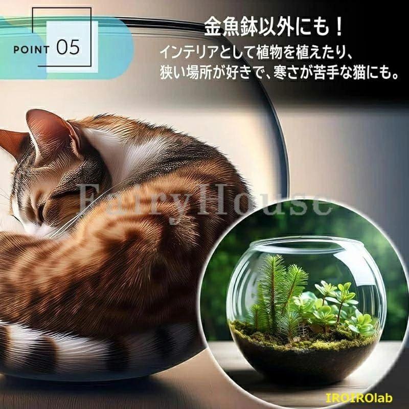 金魚鉢 アクリル水槽 透明 メダカ 苔 アクアリウム 水草 飼育水槽 睡蓮