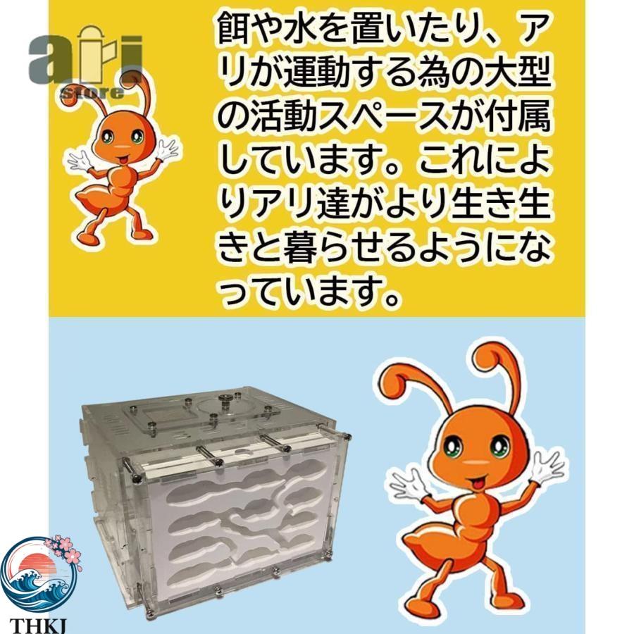 アリ飼育ケース大　石膏巣　アリの巣観察 アリ飼育キット 石膏製巣箱 透明アクリル製ケース アリの巣観察キット