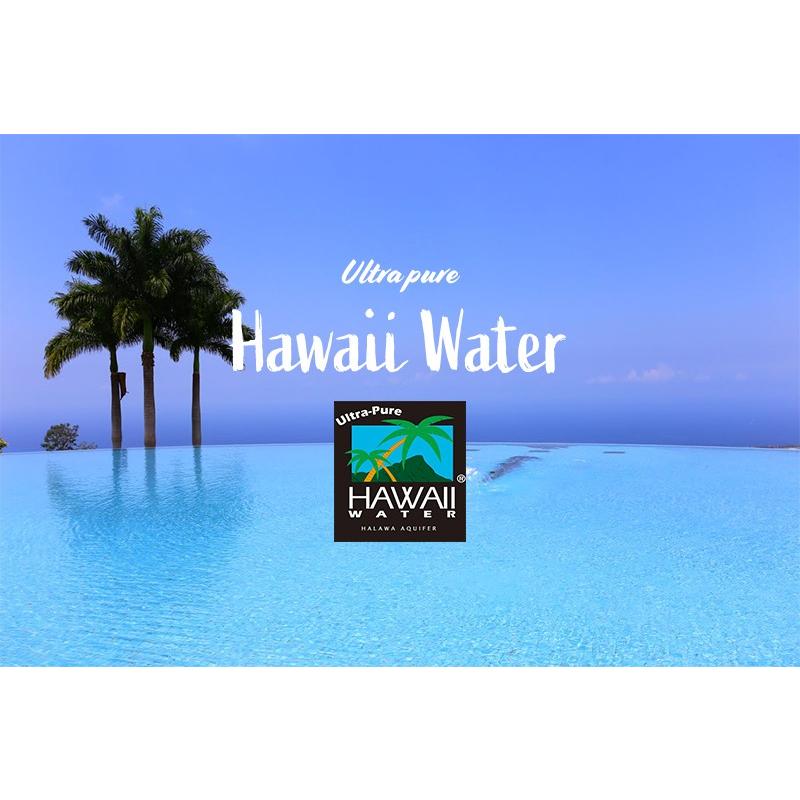 ハワイウォーター　継続購入　5ガロンボトル　2本セット　会社、店舗のお客様　HAWAIIWATER |  | 01