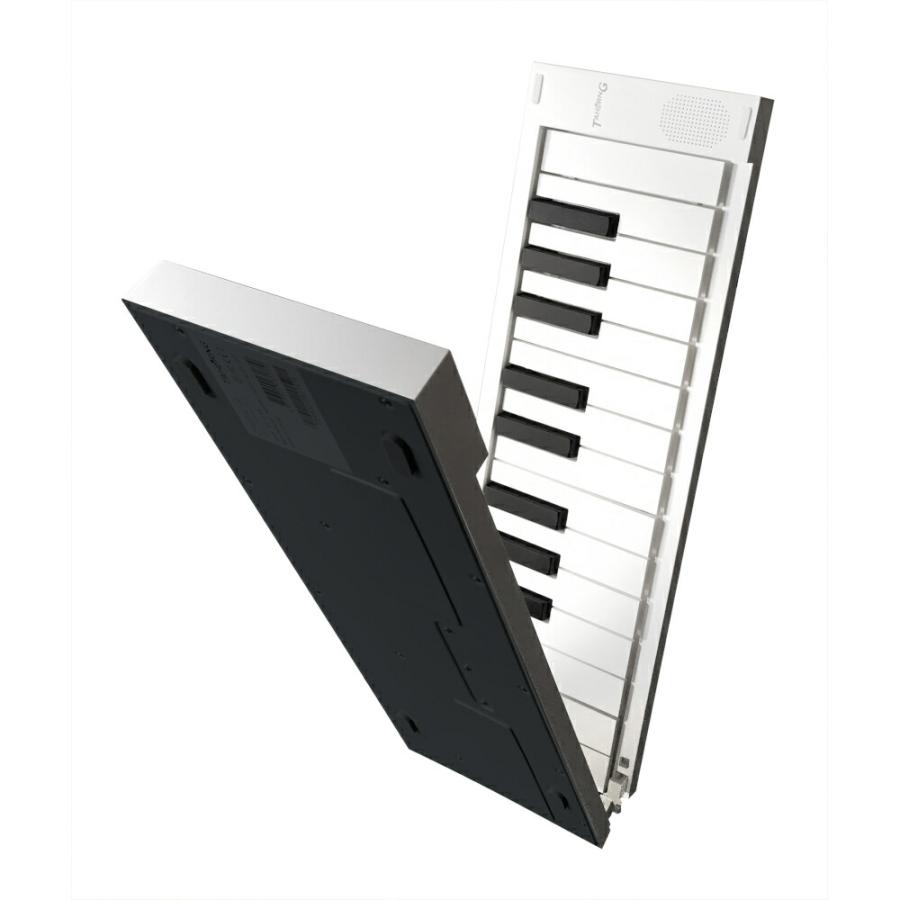 TAHORNG タホーン オリピア ORIPIA49 折りたたみ式電子ピアノ/MIDI