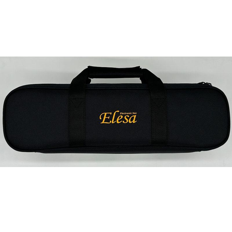 外箱傷み特価！】TAHORNG タホーン 電子サックス Elesa10 専用バッグ 