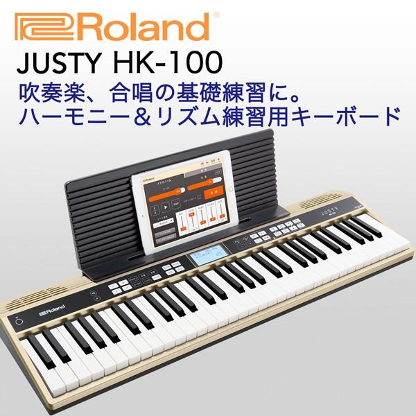 偉大な Roland ローランド 61鍵 ハーモニー リズム練習用キーボード Justy Hk 100 初回限定 Vulkanvegas Corridatrevo Com Br