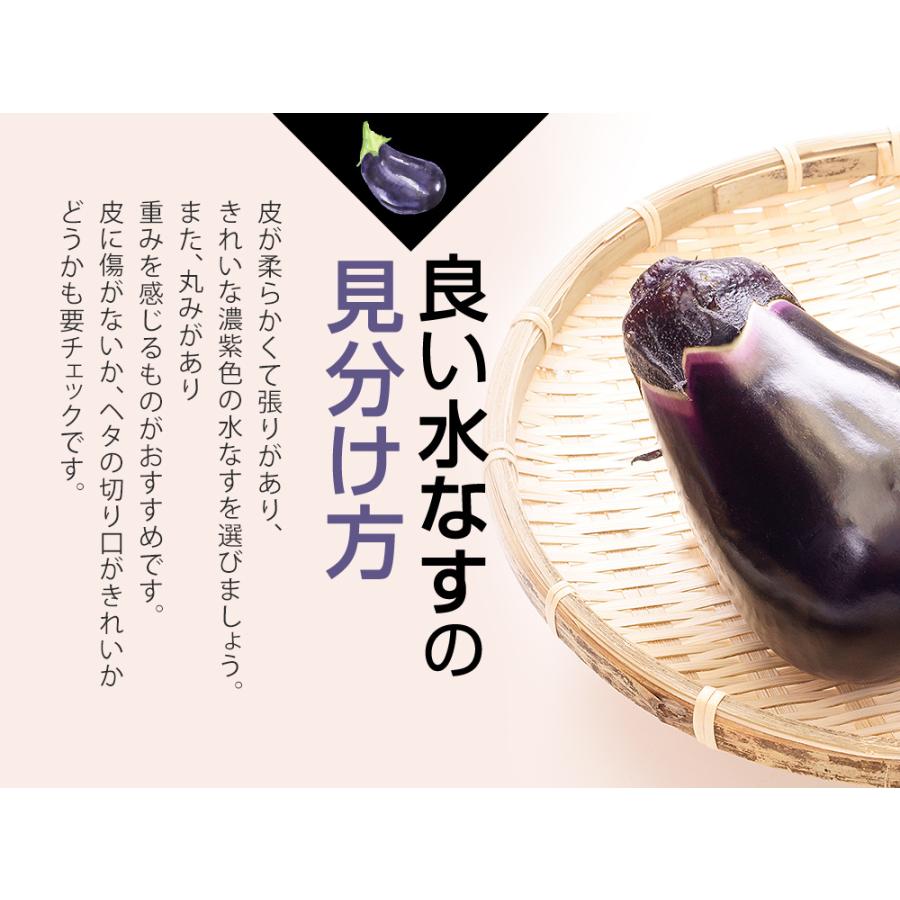 泉州産水なす漬セット よりどり5袋 漬物 水ナス 浅漬け 切漬 ぬか漬け 敬老の日 ギフト プレゼント 贈答 ミキチャンネット ヤフー店 通販 Yahoo ショッピング