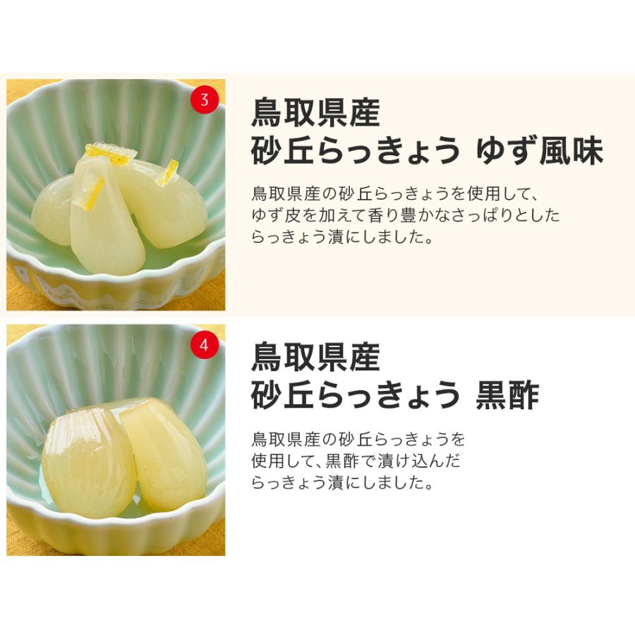 らっきょう 国産 鳥取県産 砂丘らっきょう漬け よりどり3袋 送料無料 ラッキョウ ご飯のお供 ミキチャンネット ヤフー店 通販 Yahoo ショッピング