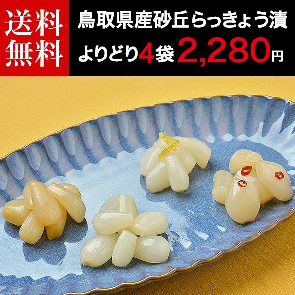 らっきょう 鳥取県産 国産 砂丘らっきょう漬け よりどり4袋 ラッキョウ 送料無料 ご飯