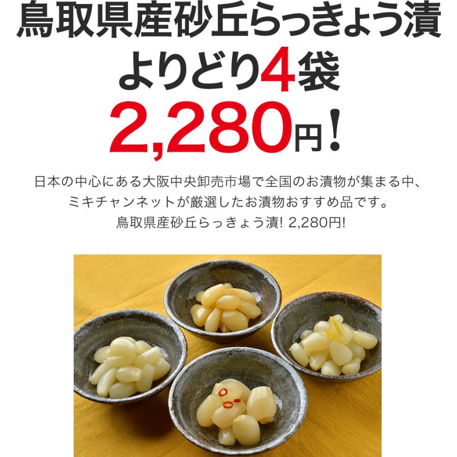 らっきょう 鳥取県産 国産 砂丘らっきょう漬け よりどり4袋 ラッキョウ 送料無料 ご飯のお供 ミキチャンネット ヤフー店 通販 Yahoo ショッピング