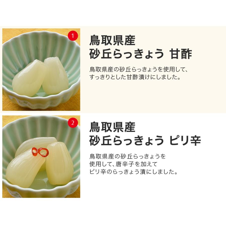 らっきょう 鳥取県産 国産 砂丘らっきょう漬け よりどり4袋 ラッキョウ 送料無料 ご飯のお供 ミキチャンネット ヤフー店 通販 Yahoo ショッピング