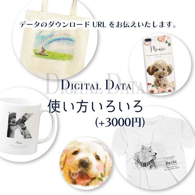 ペット 遺影 写真 ポスター メモリアル 花の供養ポスター お供え お名前+日付入り かわいい おしゃれ t023 |  | 07