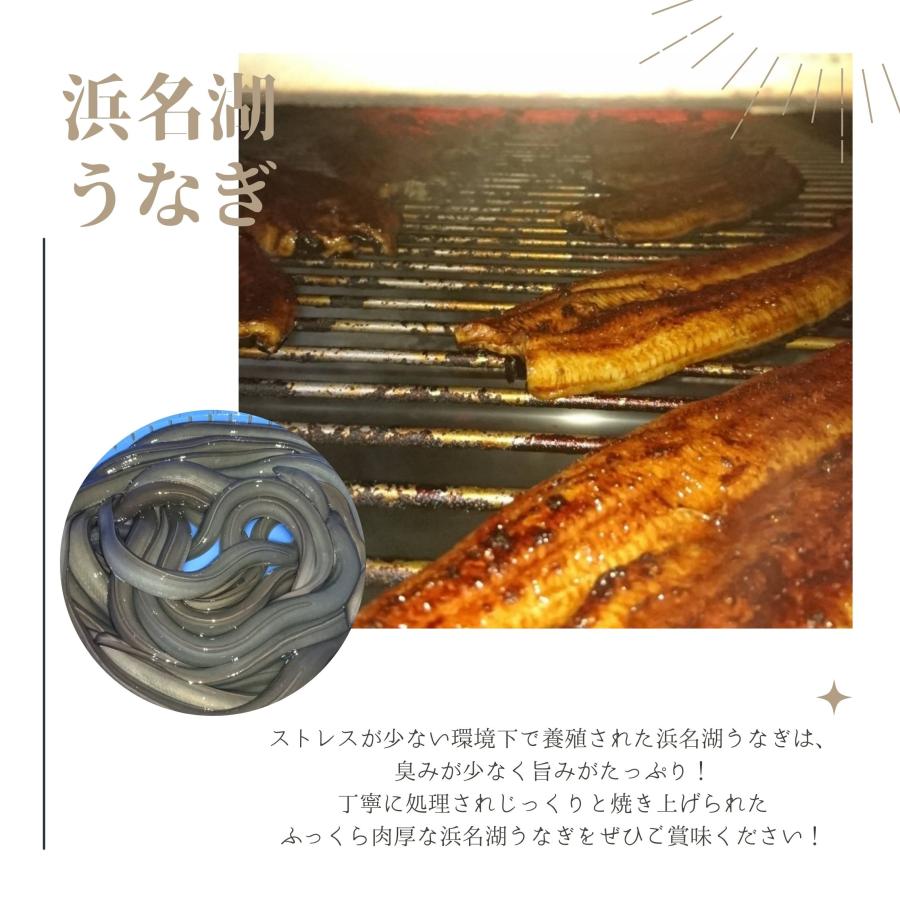 父の日ギフト【期間限定価格】うなぎ 蒲焼 国産 浜名湖産 ２尾入(1尾約125g)  土用の丑の日 タレ山椒付き 敬老の日 お歳暮 プレゼント 熨斗対応 送料無料