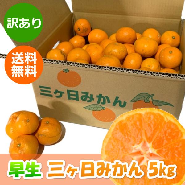 みかん 三ケ日みかん 早生 訳あり （不揃い・キズ）（5kg） | 