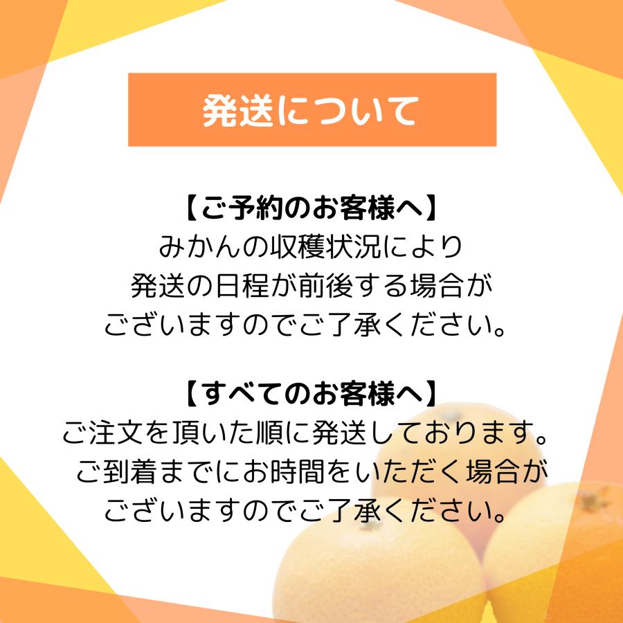 みかん 三ケ日みかん 早生 ちびっこみかん（SSサイズ）（3kg） |  | 03