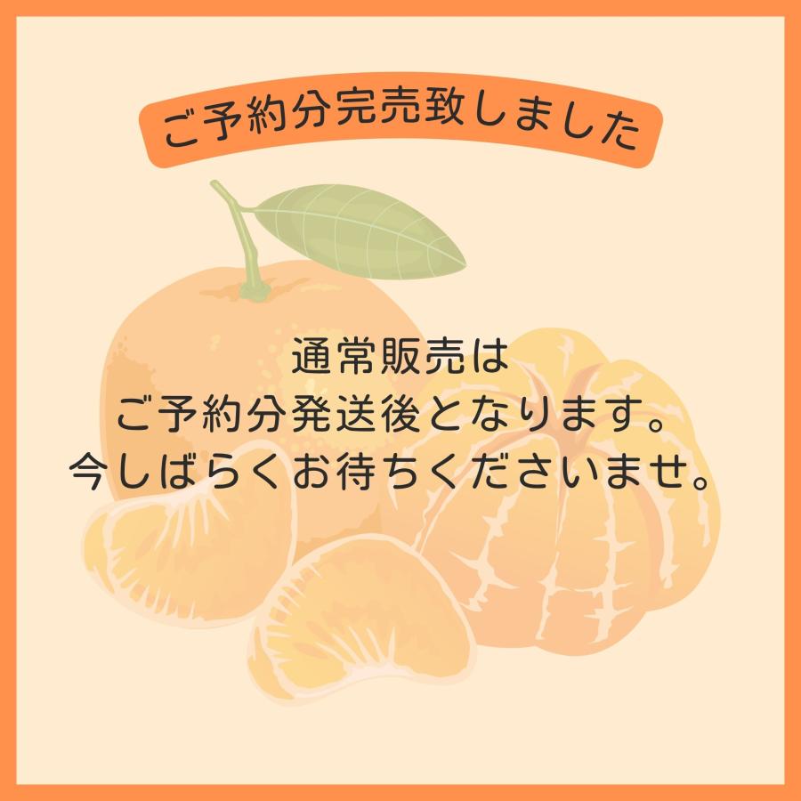 みかん 三ケ日みかん 早生 ちびっこみかん（SSサイズ）（3kg） |  | 01