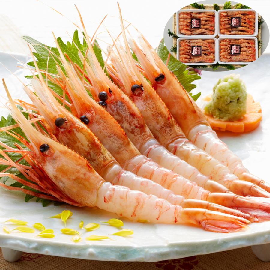 北海道産 ぼたん海老 180g 4 高級