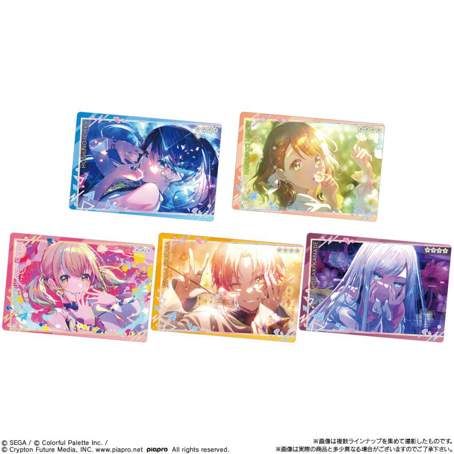 BANDAI（バンダイ） 【賞味期限：2026.4】（未開封10個）プロジェクト
