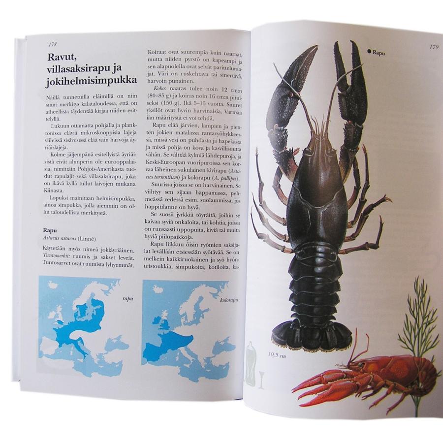 書籍　フィンランドとヨーロッパのお魚分布図鑑｜mikonfinlandshop｜04
