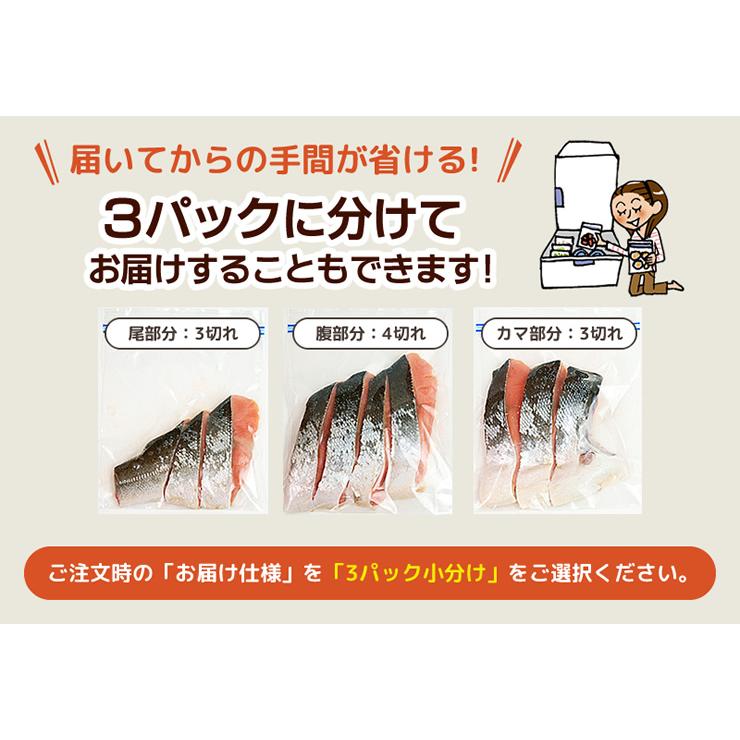 銀鮭半身 定塩 約0.8キロ 姿切り 10切りカット 真空パック｜mikuni｜04