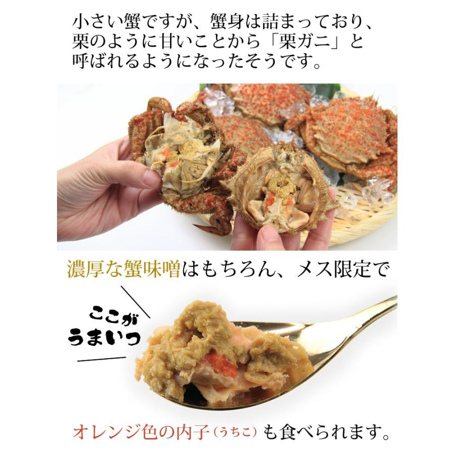 春の味覚 青森産トゲクリガニ 中サイズ メス４杯 Tg 02 みくに商店 通販 Yahoo ショッピング