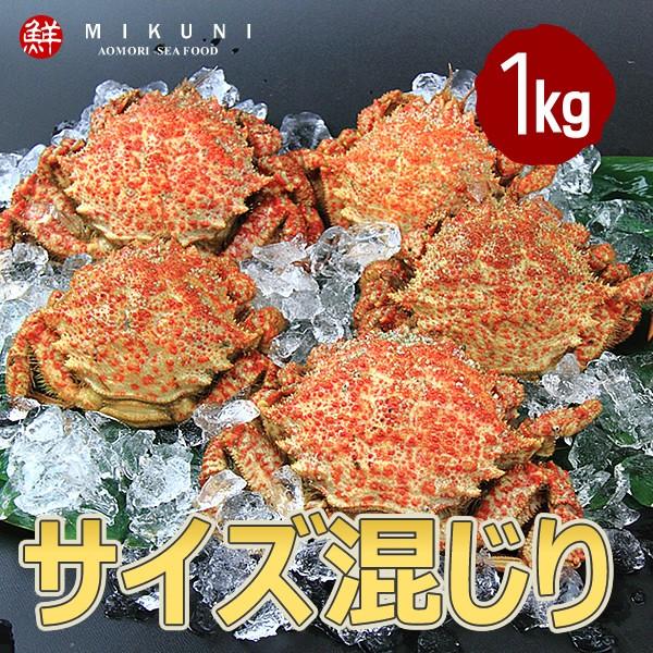 予約：4月26日より入荷次第順次発送　春の味覚！ 青森産トゲクリガニ (1kg：特大サイズ〜中サイズ混じり)：メス4〜7杯｜mikuni