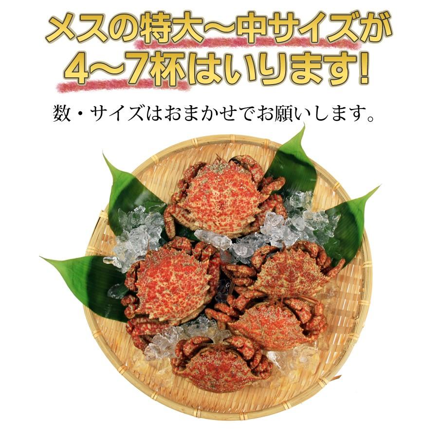 春の味覚！ 青森産トゲクリガニ (1kg：特大サイズ〜中サイズ混じり