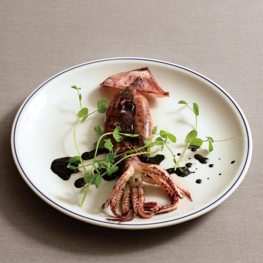 【新品】プレート （イタリア製）27cm サタルニア ローマ ブルーライン ディナープレート 27cm : 京都匙亀