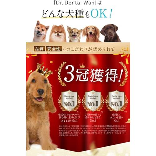 ドクターデンタルワン 犬用歯磨きジェル 楽天市場】【本日限定☆20%OFF】 ドクターデンタルワン 30g 1