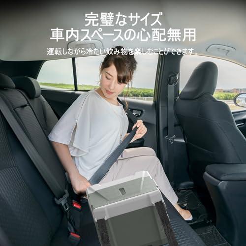 Alpicool 車載冷蔵庫 9L ポータブル冷蔵庫 急速冷凍 小型 -20℃〜20
