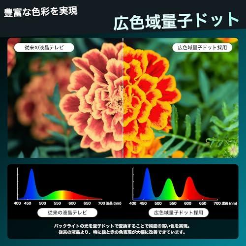 ネット限定】ハイセンス 65V型 65E7N 4K 量子ドット 倍速パネル 144Hz