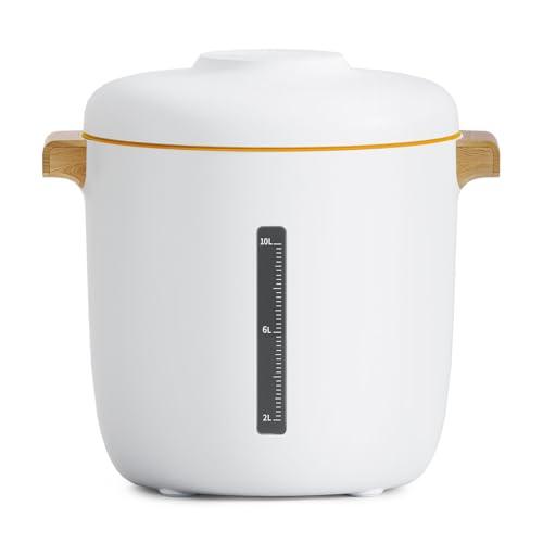 2025アップデート】真空保存容器 自動真空 密閉 保存容器 防虫/湿気  