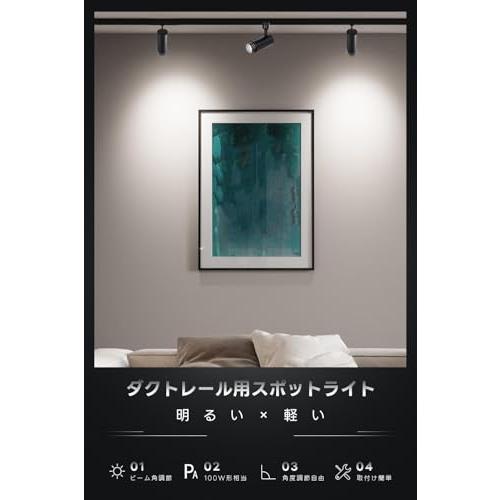 SPAHER ダクトレール用スポットライト LED 照明 ビーム角調節タイプ