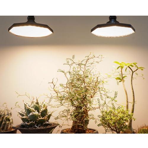 BARREL公式】ROKI-Octagon-50W ブラック 植物育成ライト LED パネル 高