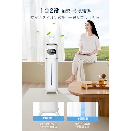 加湿器 大容量 10L 【2025年新型・多重除菌浄化・2WAY吹出しノズル】 加湿器 大容量 10L 【2025年新型・多重除菌浄化・2WAY吹出しノズル