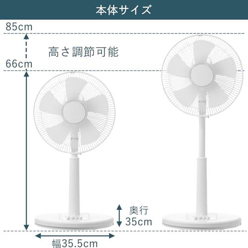 山善] 扇風機 リビング 左右自動首振り 押しボタンスイッチ 風量3段階