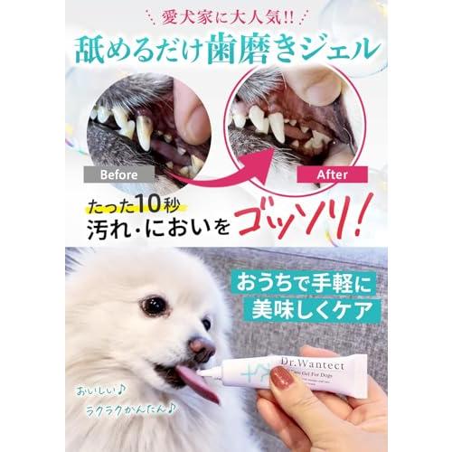 Dr．Wantect 犬用 歯磨きジェル 口腔ケア 犬 歯磨き 歯磨き粉