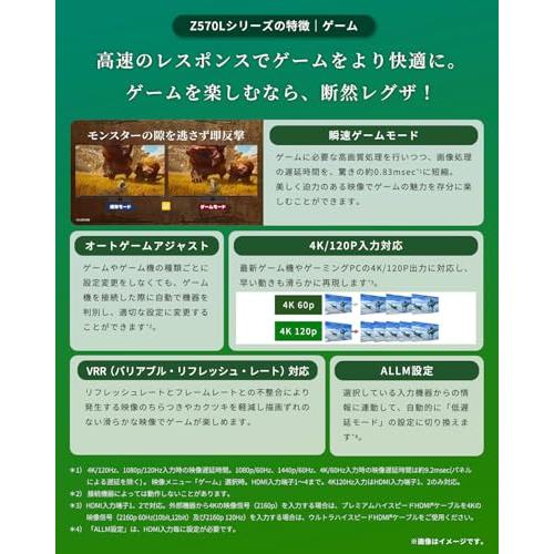 レグザ 65インチ 4K液晶テレビ 65Z570L 4Kチューナー内蔵 外付けHDD 裏 
