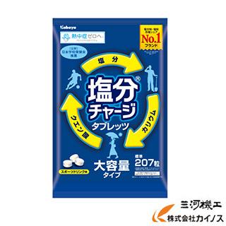 塩分チャージタブレッツ 6個入り 熱中症対策】塩分チャージタブレッツ スポーツドリンク味 BIG ＜N26