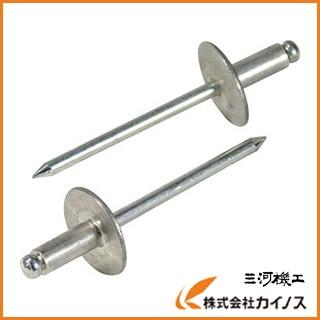 エビ ブラインドリベットラージフランジ（500本入）アルミ／スティール