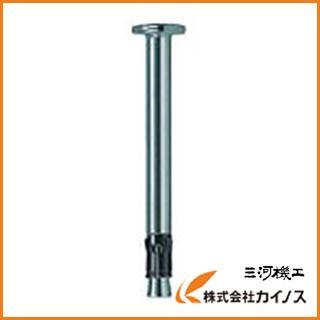 フィッシャー ネイルアンカー FNA2 6X30／120 50本入り 44120