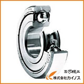 NTN 深溝玉軸受 6412ZZ